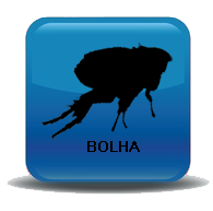 Bolha